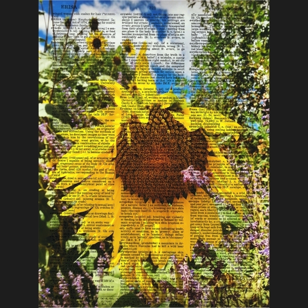 Wild Sunflower Floral Landscape Nature Vintage Dictionary Art Print